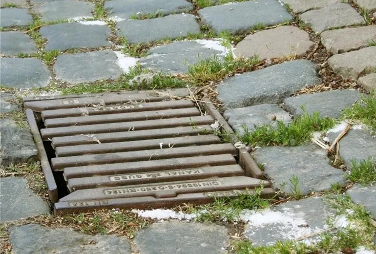 Unkrautbekaempfungkochsalz1-800x600