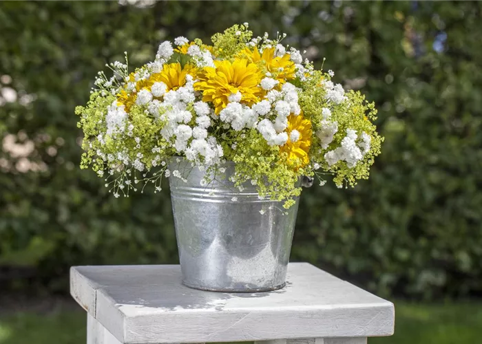 Schnittblumen aus dem eigenen Garten – den Garten ins Haus holen