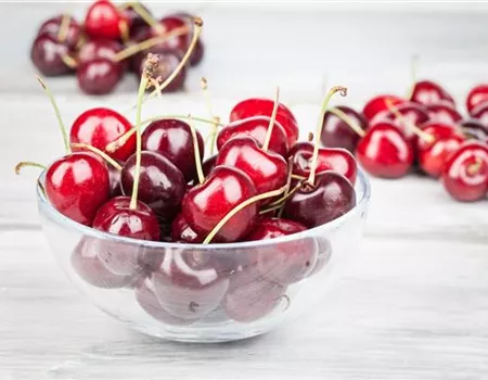 Die Früchte des Gartens gut verarbeiten