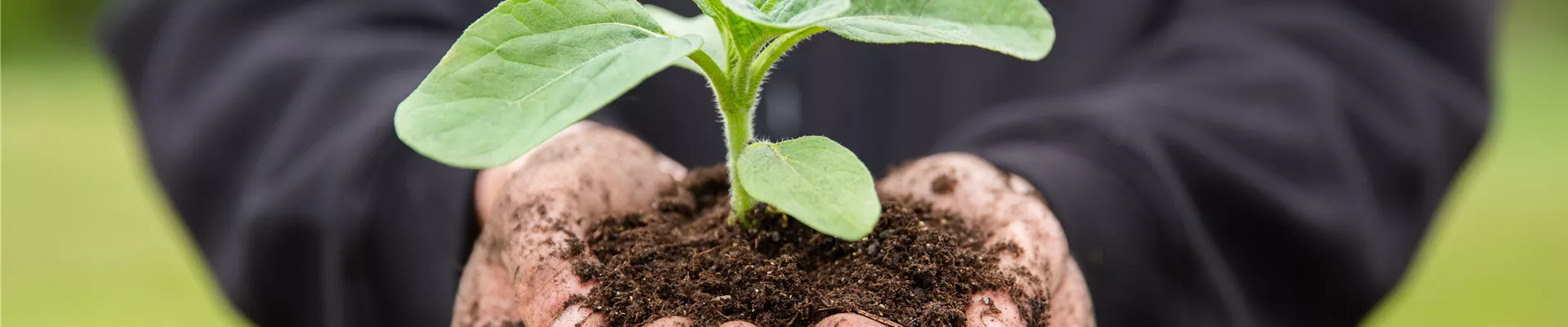 2020-10-12.16-31.GS661946