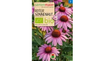 Echinacea purpurea