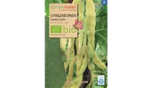 Phaseolus vulgaris var. vulgaris