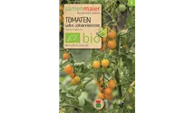 Solanum lycopersicum