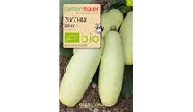 Cucurbita pepo