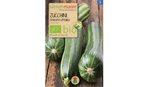 Cucurbita pepo