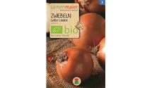 Allium cepa