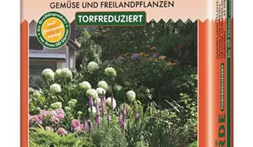 Orange torfreduziert