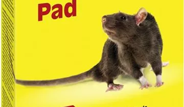 Sugan Rattenköder Pad 400 g 