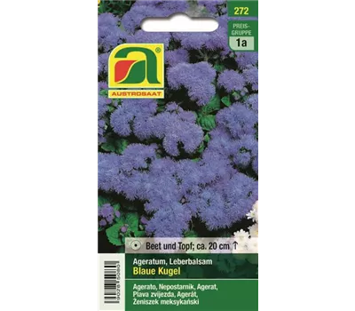Ageratum Blaue Kugel