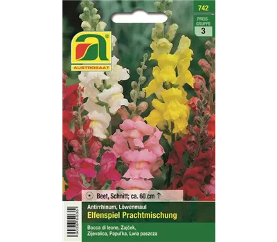 Antirrhinum Elfenspiel