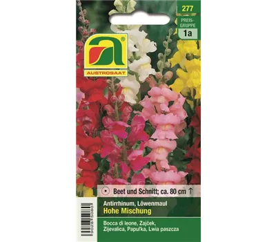 Antirrhinum Hohe Mischung