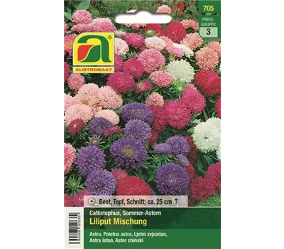 Astern Liliput Mischung
