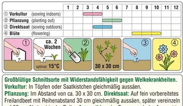 Austrosaat