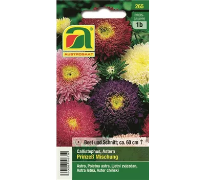 Astern Prinzess Mischung