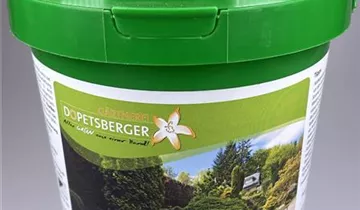 dünger für fächerahorn Japanischer Fächer-Ahorn 'Orange Dream' kaufen main image 1