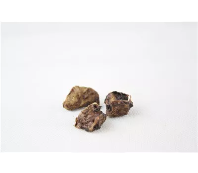 Emma´s Rinderlungen Trainees