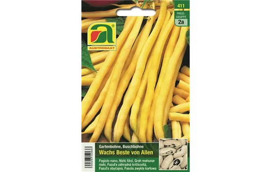 Buschbohne Wachs Beste Von Allen