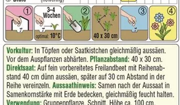 Austrosaat