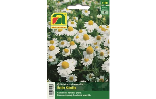 Echte Kamille