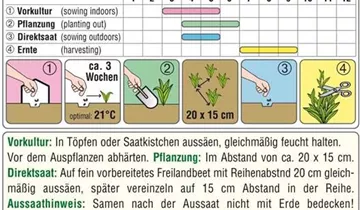 Austrosaat