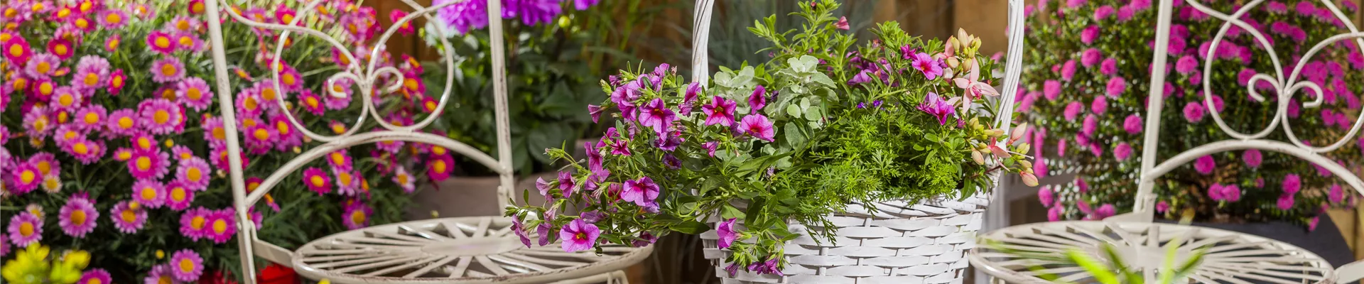 Terrasse mit bunten Kübelpflanzen