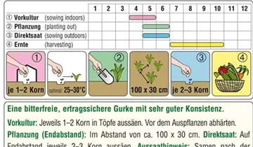 Austrosaat
