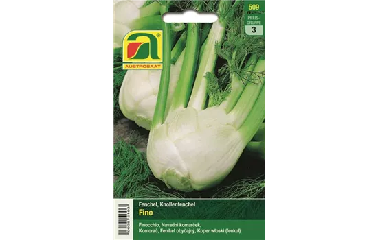 Knollenfenchel Fino