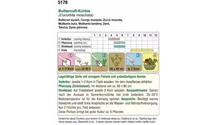 Biosaatgut