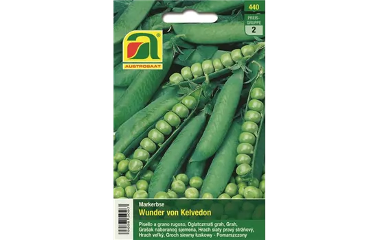 Markerbse Wunder von Kelvedon