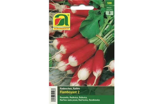 Radieschen Flamboyant 2