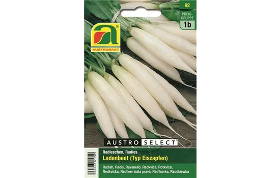 Radieschen Ladenbeet