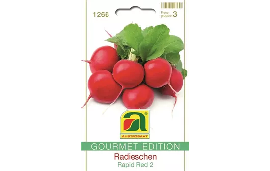 Radieschen Rapid Red 2