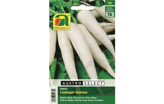 Rettich Lindegger Sommer