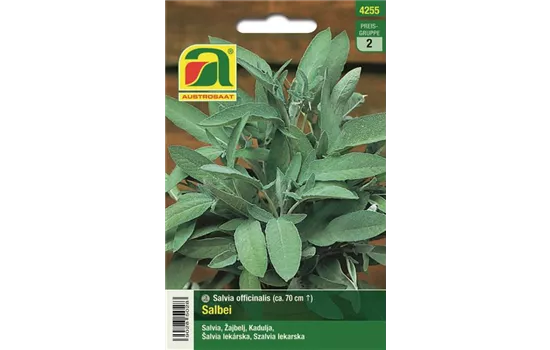 Salbei