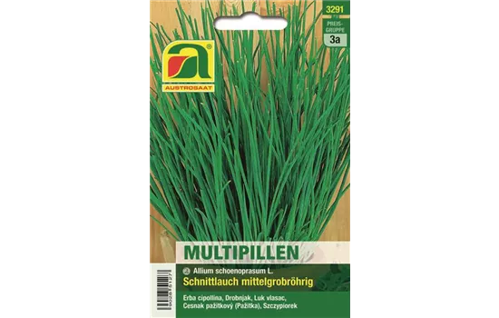 Schnittlauch Polyvert