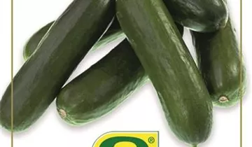 Gourmet-Edition