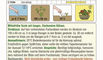 Austrosaat