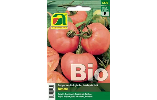 Tomate Berner Rose