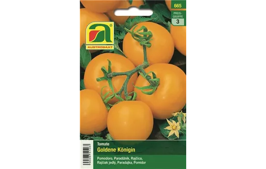 Tomate Goldene Königin