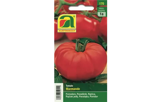 Tomate Marmande