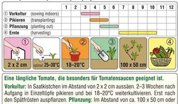 Austrosaat