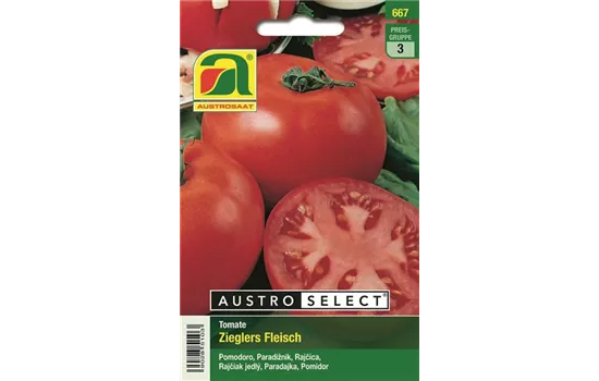 Tomate Zieglers Fleisch