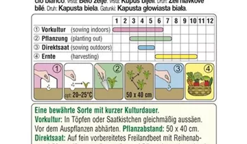 Austrosaat