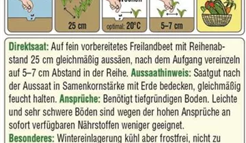 Austrosaat