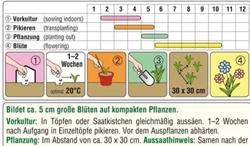 Austrosaat