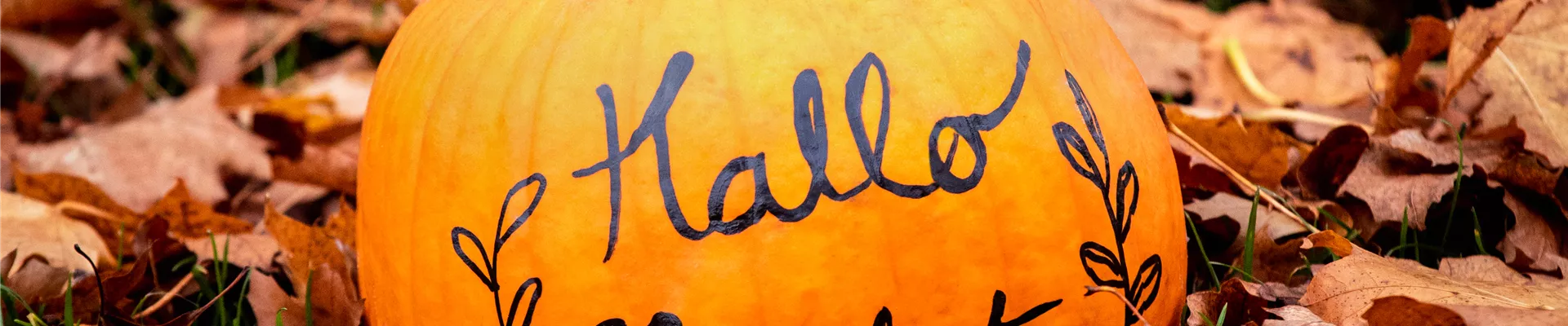 Herbst - Kürbis im Laub