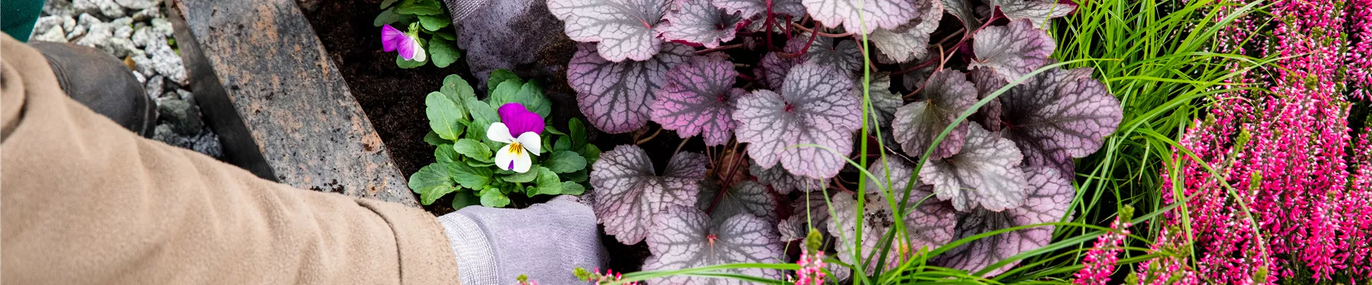 Grabgestaltung - Grab bepflanzen