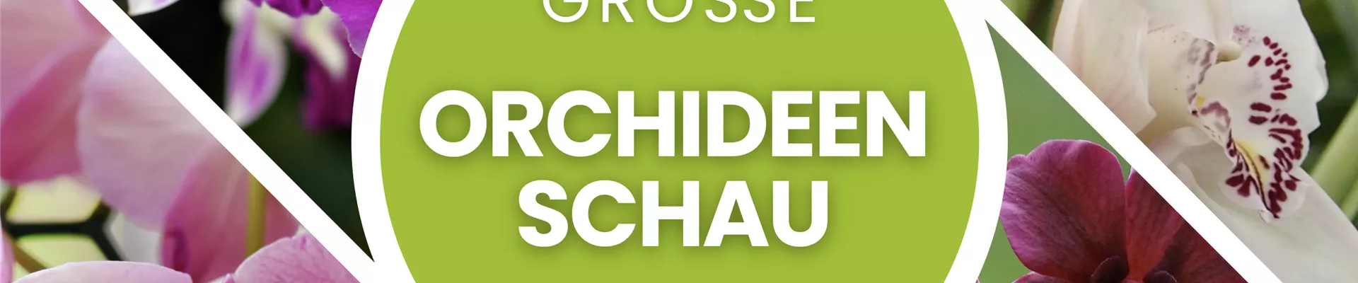 Bildschirmfoto 2026-01-08 um 08.56.31