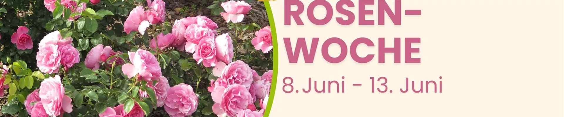 App-Slider_Rosenwoche