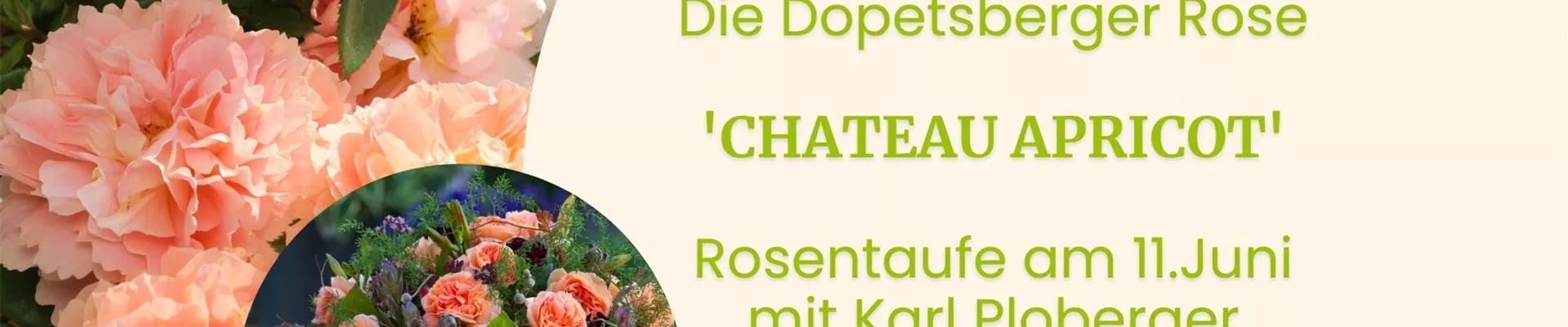 App-Slider_chateau apricot